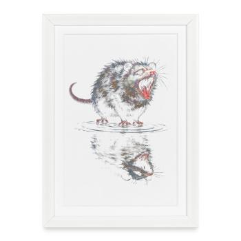 Rugissement de la Loutre d’Eau - Affiche encadrée (27 × 37 cm) - blanc - Devant
