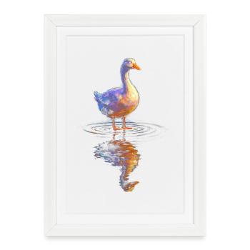 Canard aquarelle au bord de l’étang - Affiche encadrée (27 × 37 cm) - blanc - Devant