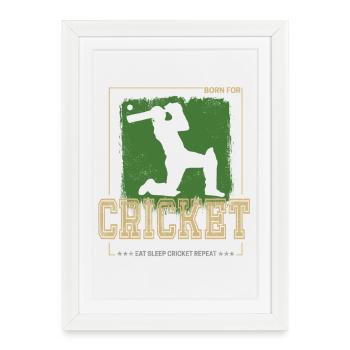 Cricket Batsman Design for Pitcher or Coach - Framed poster (27 × 37 cm) - white - Front