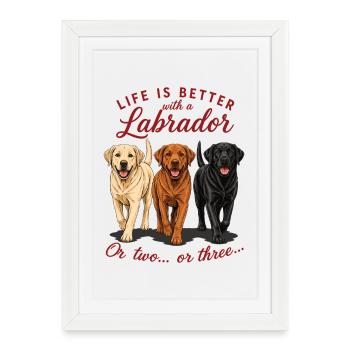 La vie est meilleure avec une chemise de chien labrador - Affiche encadrée (27 × 37 cm) - blanc - Devant