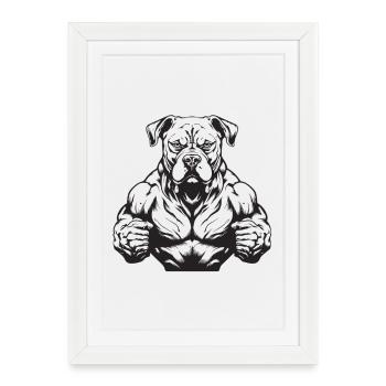 Muscles de bête canine - Affiche encadrée (27 × 37 cm) - blanc - Devant