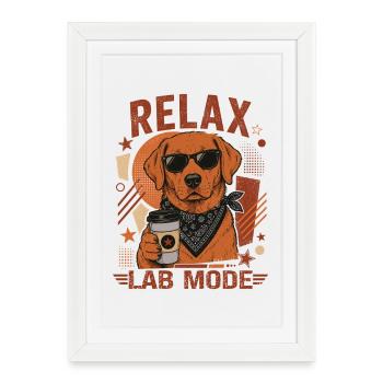 Chemise de mode Labrador Relax Lab - Affiche encadrée (27 × 37 cm) - blanc - Devant