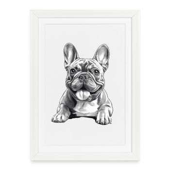 Bouledogue Français Drôle Smiley Bully Dog - Affiche encadrée (27 × 37 cm) - blanc - Devant