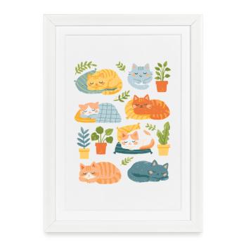 Chats et plantes d’intérieur endormis - Affiche encadrée (27 × 37 cm) - blanc - Devant