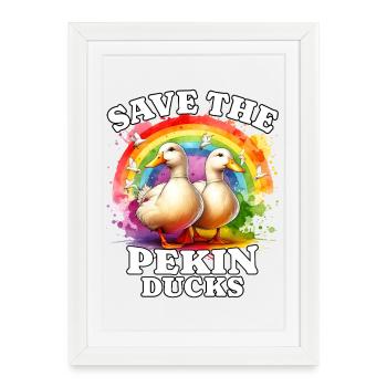 Canard latéré Sauve le canard Pekin - Affiche encadrée (27 × 37 cm) - blanc - Devant