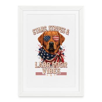 Fox Red Labrador USA Vibes Shirt - Affiche encadrée (27 × 37 cm) - blanc - Devant