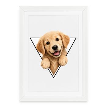 Chien chiot dans un cadre triangulaire - Affiche encadrée (27 × 37 cm) - blanc - Devant