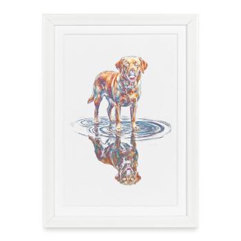 Labrador Retriever with Water Reflection - Framed poster (27 × 37 cm) - white - Front