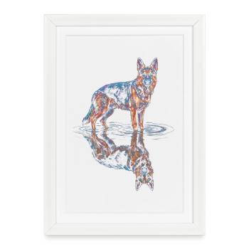 German Shepherd with Water Reflection - Framed poster (27 × 37 cm) - white - Front