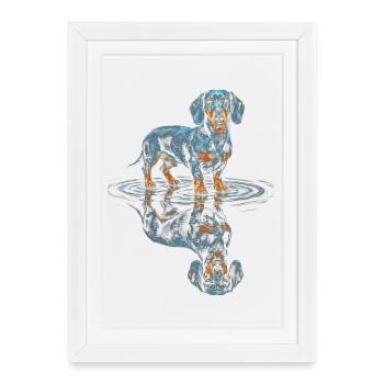 Teckel Water Reflex Bleu-Orange - Affiche encadrée (27 × 37 cm) - blanc - Devant