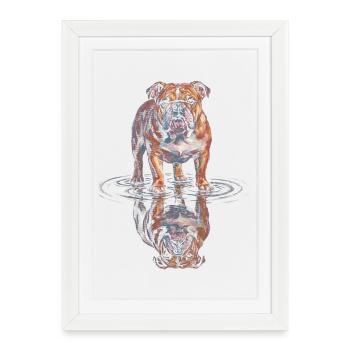 Bulldog Water Reflection - Framed poster (27 × 37 cm) - white - Front
