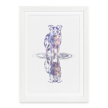 Border Collie Water Reflection - Framed poster (27 × 37 cm) - white - Front