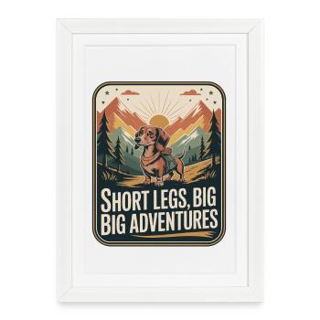 Wander Dachshund - Framed poster (27 × 37 cm) - white - Front