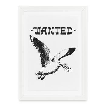 Recherché - Mouette Voleur - Affiche encadrée (27 × 37 cm) - blanc - Devant