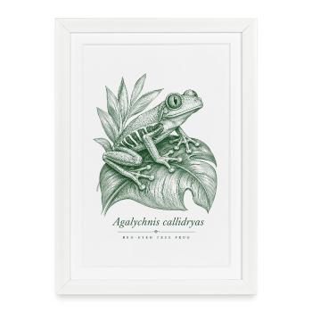 Red Eyed Tree Frog Rainforest - Framed poster (27 × 37 cm) - white - Front