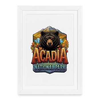 Chute de l’ours dans le parc national d’Acadia - Affiche encadrée (27 × 37 cm) - blanc - Devant