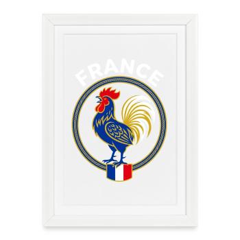 Blason France Coq Gaulois Drapeau - Affiche encadrée (27 × 37 cm) - blanc - Devant