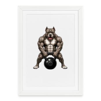 Muscle d’entraînement de Pitbull Dog Bodybuilder - Affiche encadrée (27 × 37 cm) - blanc - Devant