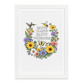 Plantes indigènes Happy Polinators Garden - Affiche encadrée (27 × 37 cm) - blanc - Devant