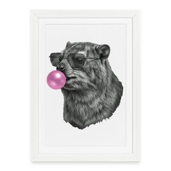 Chewing-gum rock hyrax - Affiche encadrée (27 × 37 cm) - blanc - Devant