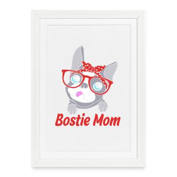 Boston Terrier - Affiche encadrée (27 × 37 cm) - blanc - Devant