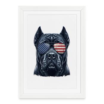 Cane Corso USA Sunglasses Patriotic - Framed poster (27 × 37 cm) - white - Front
