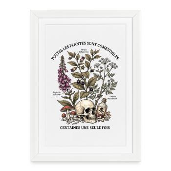 Herbier des Plantes Toxiques - Affiche encadrée (27 × 37 cm) - blanc - Devant
