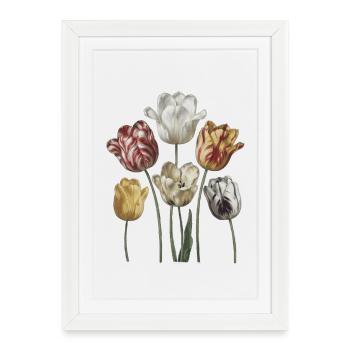 Aquarelles vintage de bouquets de tulipes - Affiche encadrée (27 × 37 cm) - blanc - Devant