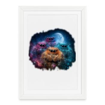 Jumping Spiders Accessories Terrarium Holder Gift - Framed poster (27 × 37 cm) - white - Front