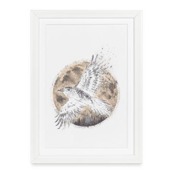 Raven Raven - Framed poster (27 × 37 cm) - white - Front