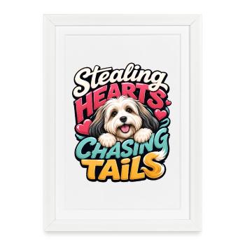 Havanese - Framed poster (27 × 37 cm) - white - Front