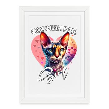 Fille Cornish Rex Chat Cornish Rex - Affiche encadrée (27 × 37 cm) - blanc - Devant