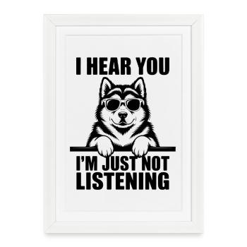 Dictons malamutes d’Alaska Don des Malamutes d’Alaska - Affiche encadrée (27 × 37 cm) - blanc - Devant