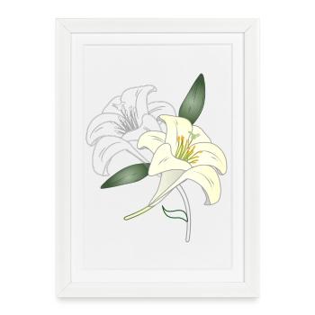 dessin de contour de deux fleurs de lys et coloré - Affiche encadrée (27 × 37 cm) - blanc - Devant