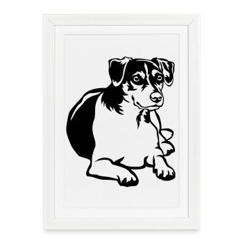 Dansk Svensk Gaardhond - Affiche encadrée (27 × 37 cm) - blanc - Devant