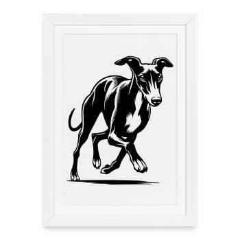 Whippet - Framed poster (27 × 37 cm) - white - Front