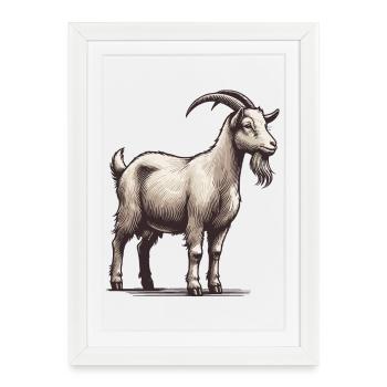 Chèvre - Affiche encadrée (27 × 37 cm) - blanc - Devant