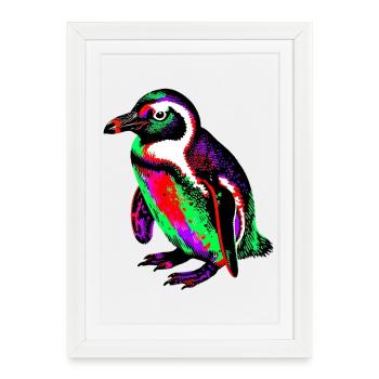 Pingouin - Affiche encadrée (27 × 37 cm) - blanc - Devant