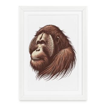 Orang-outan - Affiche encadrée (27 × 37 cm) - blanc - Devant