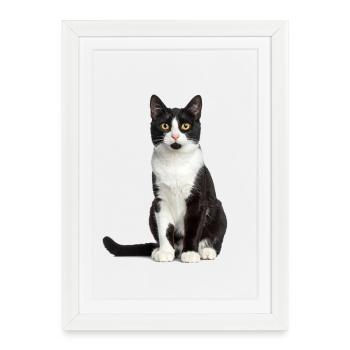 Black/White Cat – Good Pet Edition - Framed poster (27 × 37 cm) - white - Front