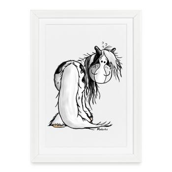 Gypsy Cob - Irish Cob – Pinto – Cheval - Affiche encadrée (27 × 37 cm) - blanc - Devant