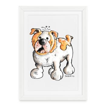 Bulldog anglais - Affiche encadrée (27 × 37 cm) - blanc - Devant