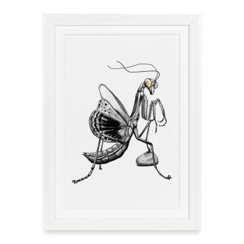 Mante religieuse - Affiche encadrée (27 × 37 cm) - blanc - Devant