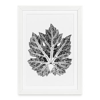 Feuille de vigne - feuille de vin / botanique - Affiche encadrée (27 × 37 cm) - blanc - Devant