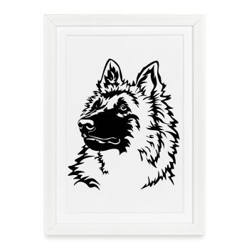 Tervuren Head - Framed poster (27 × 37 cm) - white - Front