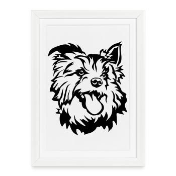 Australian Terrier Head - Framed poster (27 × 37 cm) - white - Front