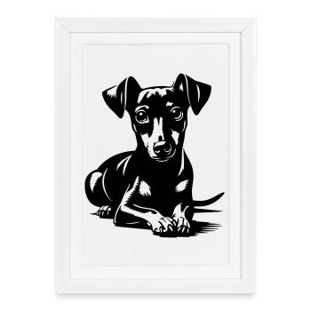 Miniature Pinscher - Framed poster (27 × 37 cm) - white - Front