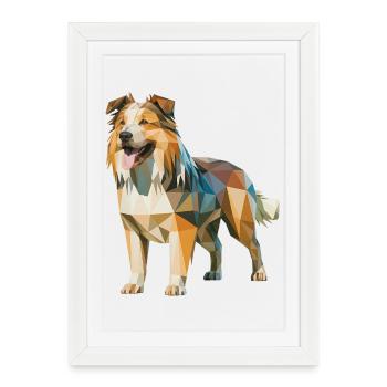 Berger australien - Logo Low Poly cool - Affiche encadrée (27 × 37 cm) - blanc - Devant