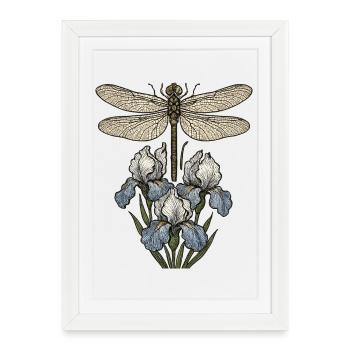 Dragonfly over iris flowers - Framed poster (27 × 37 cm) - white - Front