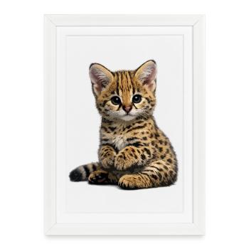 Chatons Serfal - Affiche encadrée (27 × 37 cm) - blanc - Devant